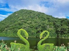 -广州市石门国家森林公园