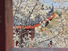 -堤角公园