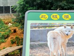 -石家庄市动物园