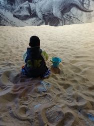 -恐龙探索乐园(磁器口店)