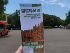 -上海海湾国家森林公园