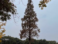 -良渚古城遗址公园