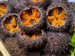 -和创柚子·会席日本料理(新区淮海街店)