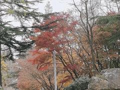 -太和山风景区