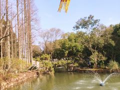 -上海醉白池公园