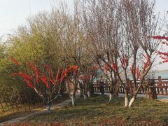 -南京金牛湖风景区