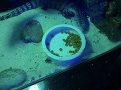 -重庆欢乐海底世界