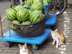 -大光明丽星VIP影城(昌里路杜比全景声店)