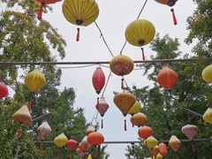 -南宫五洲植物乐园