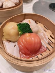 -安蒂娅美兰酒店·宴会厅