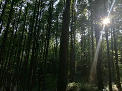 -山王坪喀斯特国家生态公园