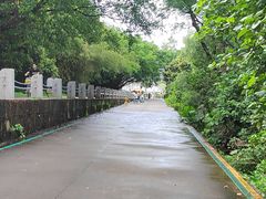 -华侨城湿地公园