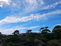 -罗红摄影艺术馆