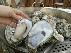 原只蒸生蚝-蚝得喜海鲜(东城店)