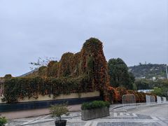 -厦门帝元维多利亚大酒店(环岛路黄厝海滩店)