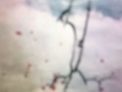 -学知乐教育·幼小衔接·小学科辅导(嘉定镇校区)