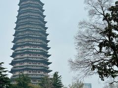 -红梅公园