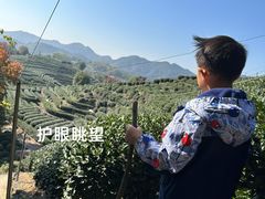 -南京市无想山景区