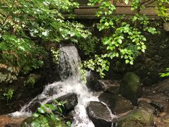 -藏龙百瀑风景区