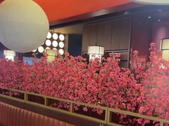 -刘一锅筋头巴脑(大悦城C店)