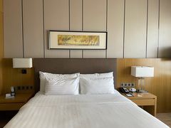 -徐州博顿温德姆酒店(高铁东站店)