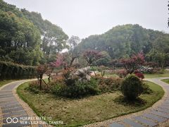 -东湖落雁景区