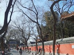 -北京国子监胡同