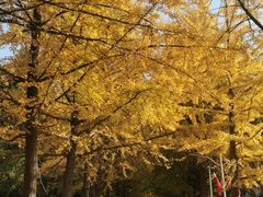 -辽东学院(南校区)