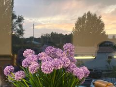 -马白开来特色羊排揪片子  (总店)