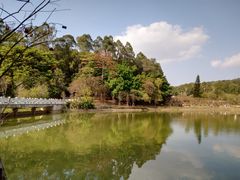 -南国桃园旅游度假区