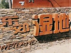 -东郊湿地公园