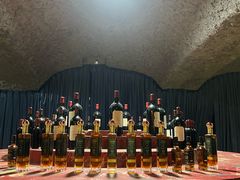 -文成城堡