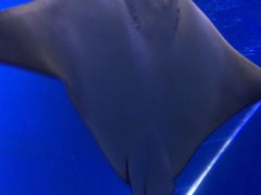 -海合安青岛极地海洋公园