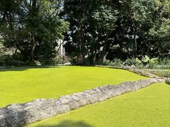 -成都市活水公园