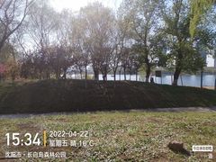 -长白岛森林公园