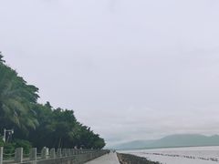 -深圳湾公园(南山区)