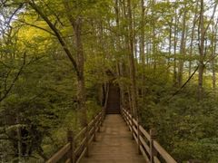 -光雾山旅游景区