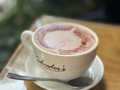 -萨尔瓦多Salvador's