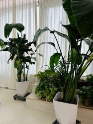 -黎蓓露·徒手骨雕蛋白抗衰·调肤管理