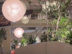 -馋嘴猫北京食堂·烤鸭·宵夜(亚运村店)