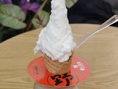 -野人先生Gelato(上海长宁龙之梦店)