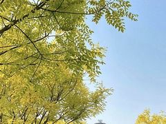 -北京北辰洲际酒店