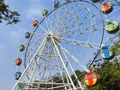 -森波拉奇妙世界