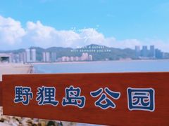 -野狸岛
