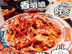 -阿财老铺·老蚌埠龙虾城(华夏总店)