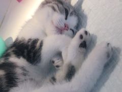 -龟与熊猫宠物公园(南坪店)