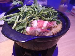 -琴寿司居酒屋(中山广场店)
