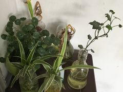 -小雅青年旅舍(平江路店)