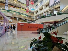 -阳阳中国饭(龙湖大兴天街)