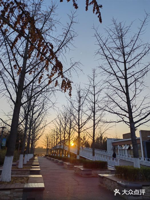 大兴滨河森林公园图片